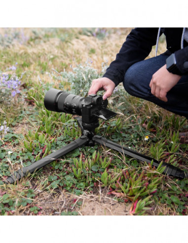 Tripod Carbon + Adapter + Głowica 3LT