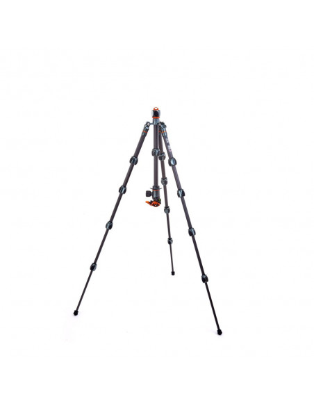 3 Legged Thing Leo 2.0 Gray