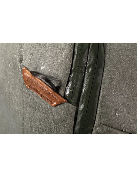 Travel Line Peak Design Travel Backpack 30L Sage