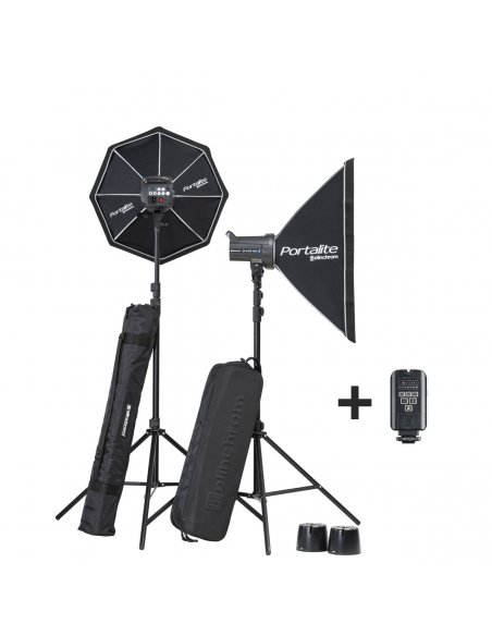 Elinchrom D-Lite RX 4 - Dual Monolight Kit